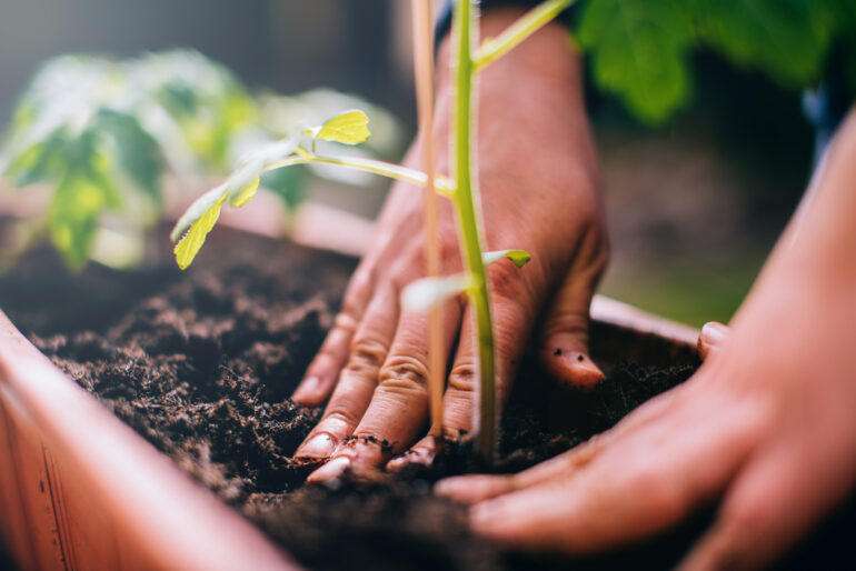 A Handy Guide to Our Plant Pot Sizes